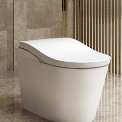 Bồn cầu nguyên khối tự động Toto CES9820